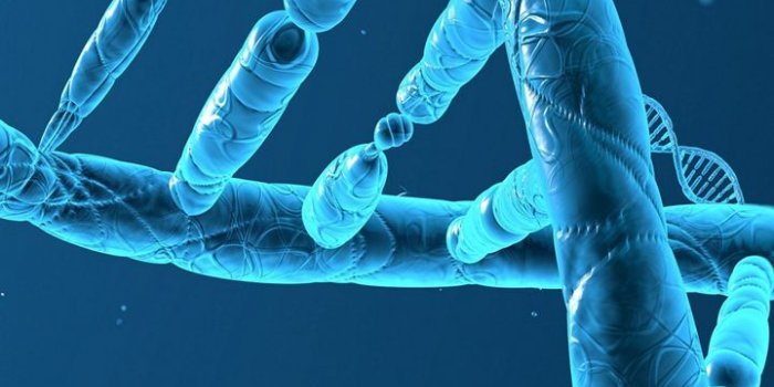 720x1520 DNA 3 D Structure Molecule Wallpaper - [720x1520]