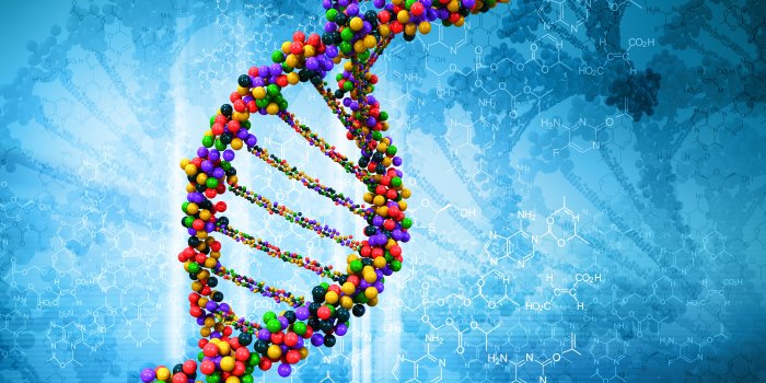 3840x2400 Download wallpapers DNA molecule, 4k, 3D art, Deoxyribonucleic acid,  Nucleic acid structure, DNA, blue science background, chemical blue  background, science concepts, background with DNA for desktop with  resolution 3840x2400. High Quality HD