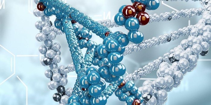 1668x2224 DNA iPhone Wallpapers