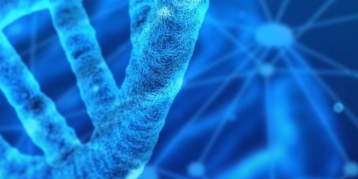 720x1280 DNA, Helix structure, digital art, 720x1280 wallpaper