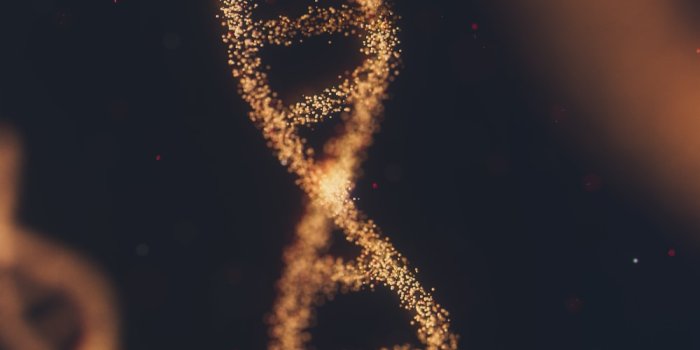 1000x1283 500+ Dna Pictures [HQ] | Download Free Images on Unsplash