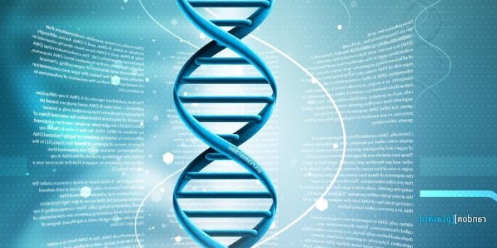 800x1280 800x1280 Human Dna 3d Nexus 7,Samsung Galaxy Tab 10,Note Android Tablets HD  4k Wallpapers, Images, Backgrounds, Photos and Pictures