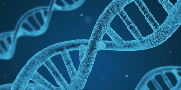 3360x1050 DNA Microscope Ultra HD Desktop Background Wallpaper for 4K UHD TV :  Widescreen & UltraWide Desktop & Laptop : Multi Display, Dual Monitor :  Tablet : Smartphone