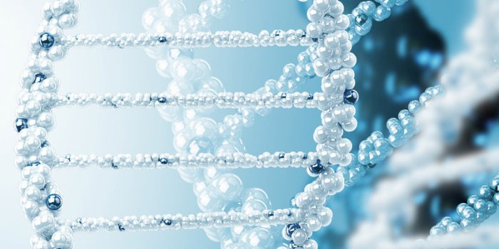 800x1280 DNA Live Wallpaper:Amazon.com:Appstore for Android