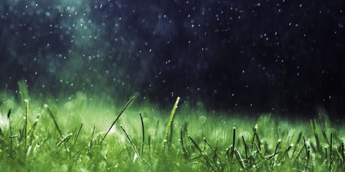 2560x1080 66+ Ultra Wide