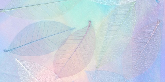 1000x1425 Pastel Wallpapers: Free HD Download [500+ HQ] | Unsplash