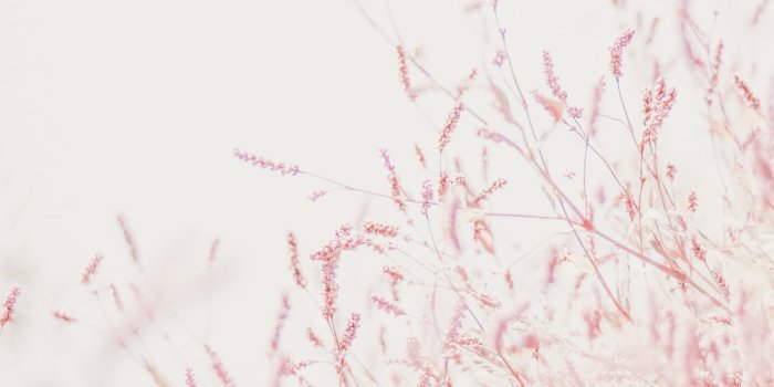 1000x1500 Pastel Wallpapers: Free HD Download [500+ HQ] | Unsplash