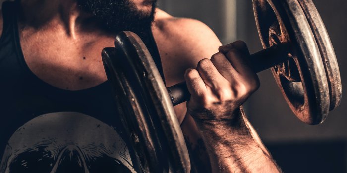 3799x5691 5,766+ Best Free Gym Stock Photos & Images · 100% Royalty-Free HD Downloads