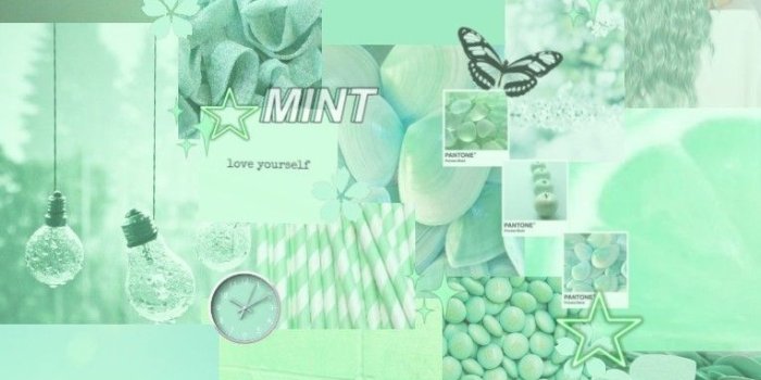 764x1358 Mint/ Pastel Green Aesthetic Wallpaper