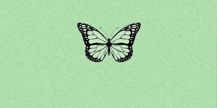 800x1418 Green Aesthetic Wallpaper - NawPic