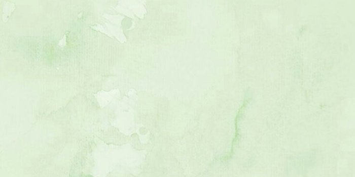 1080x1919 ✓[60+] Green wallpaper HD. CTS PRIMER LAYOUT AND DESIGN. iPhone 7 plus -  Android / iPhone HD Wallpaper Background Download (png / jpg) (2022)