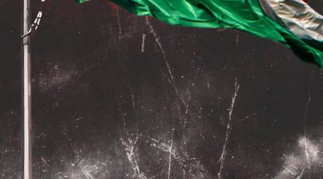 630x1280 India Flag wallpaper by ajaykumarj05 - Download on ZEDGE™ | c691