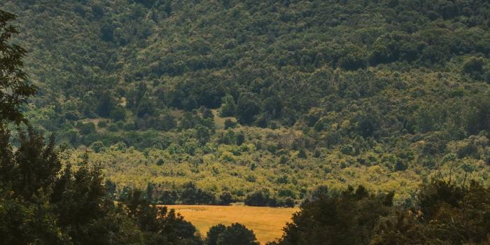 1125x2436 Adventure is out there iPhone X Wallpapers Free Download