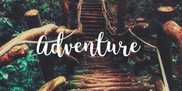 736x1258 200 Adventure ideas | adventure, travel quotes, inspirational quotes
