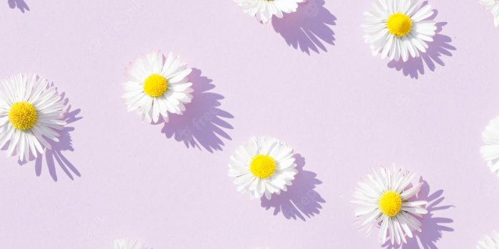 1330x2000 Wallpaper Aesthetic Purple Images | Free Vectors, Stock Photos & PSD | Page  10