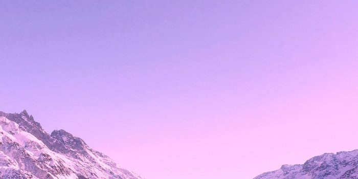 1000x1895 750+ Purple Aesthetic Pictures | Download Free Images on Unsplash