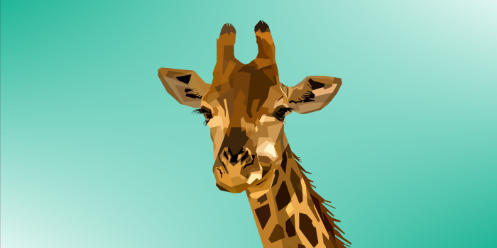 5400x3600 4K Giraffe Wallpapers | Background Images