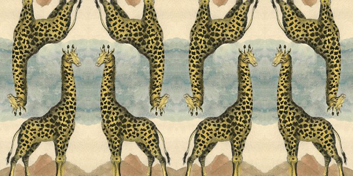 1024x1024 Giraffe Wallpaper (special order) – PATCH NYC