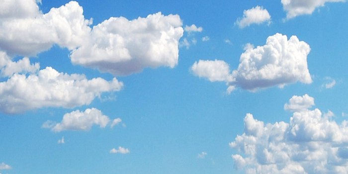 1440x2560 4CYCLISTS version of iconic Windows XP wallpaper