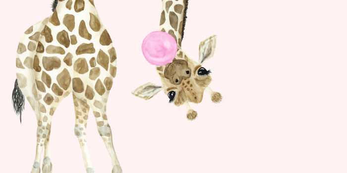 2240x1490 Stevie Kate | WALL BLUSH