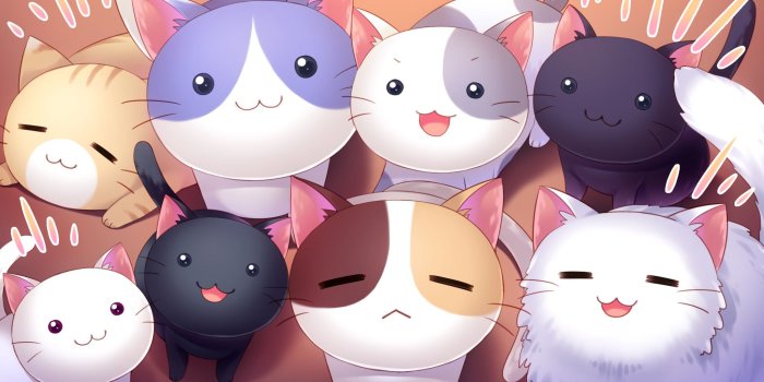 2048x1152 Kawaii Neko Wallpapers - Top Free Kawaii Neko Backgrounds - WallpaperAccess