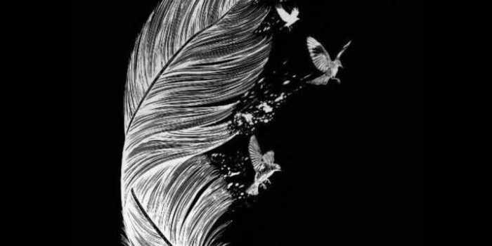 715x1366 Black Screen Wallpaper - IdleWP