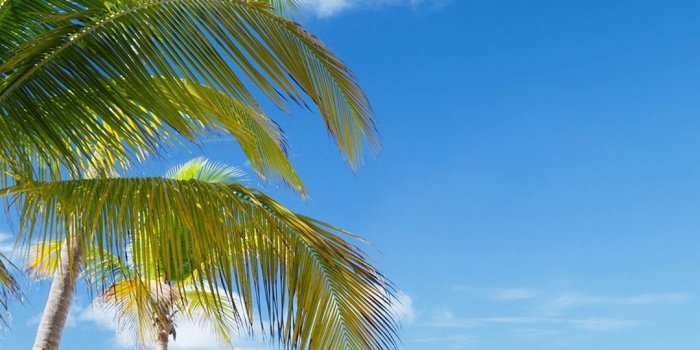 1080x1920 Wallpaper Thailand, beach, palms trees, sea, boat 3840x2160 UHD 4K Picture,  Image