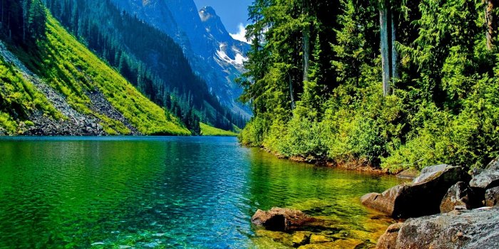 1920x1200 Free download Beautiful landscape mountain river HD Desktop Wallpaper HD  Desktop [1920x1200] for your Desktop, Mobile & Tablet | Explore 49+  Beautiful Scenery Wallpaper Desktop Wallpaper | Beautiful Desktop Wallpapers  and Backgrounds,