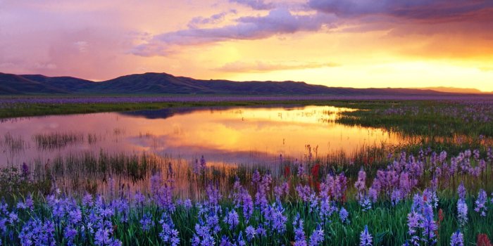 1920x1080 110 Stunning landscape wallpaper ideas | landscape, landscape wallpaper,  scenery