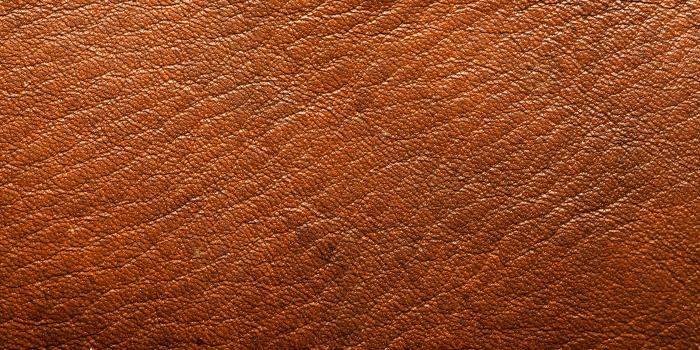 3000x2000 Free download Brown Leather Wallpaper Download Brown Leather Texture Wild  Te [3000x2000] for your Desktop, Mobile & Tablet | Explore 49+ Leather  Wallpapers | Black Leather Wallpaper, Brown Leather Wallpaper,