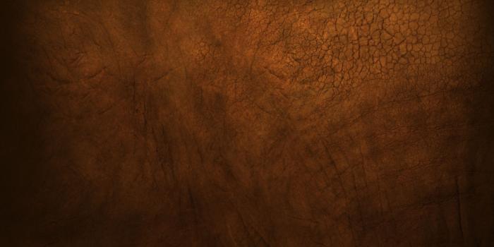 2048x1536 20+ Leather HD Wallpapers and Backgrounds