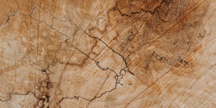 1000x1500 Brown Leather Pictures | Download Free Images on Unsplash