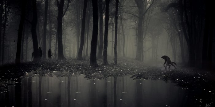 3840x2160 Monsters 4K wallpapers for your desktop or mobile screen free and easy to  download