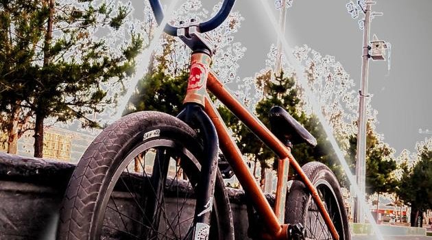 630x1280 Bmx wallpaper by SrTadeoSteban - Download on ZEDGE™ | cf30