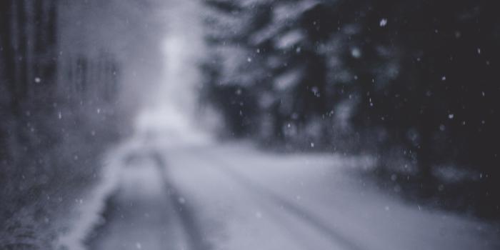 1920x1080 Out of Focus HD Wallpapers and Backgrounds