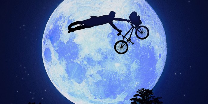 2662x2662 Bmx Like Boss, HD Artist, 4k Wallpapers, Images, Backgrounds, Photos and  Pictures