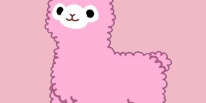 736x1226 Cute llama wallpaper iPhone | Phone wallpaper pink, Wallpaper pink cute,  Iphone wallpaper kawaii