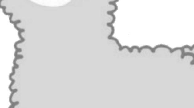 630x1280 Llama wallpaper by NerdBear_ - Download on ZEDGE™ | b7b7