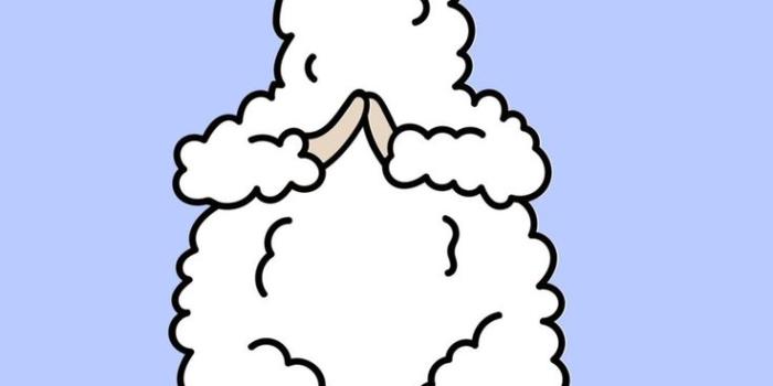 736x1308 Llamaste wallpaper | Wallpaper trends, Cute llama, Cute quotes