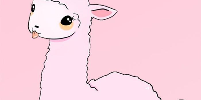 750x1334 Kawaii Llama Wallpapers - Top Free Kawaii Llama Backgrounds -  WallpaperAccess