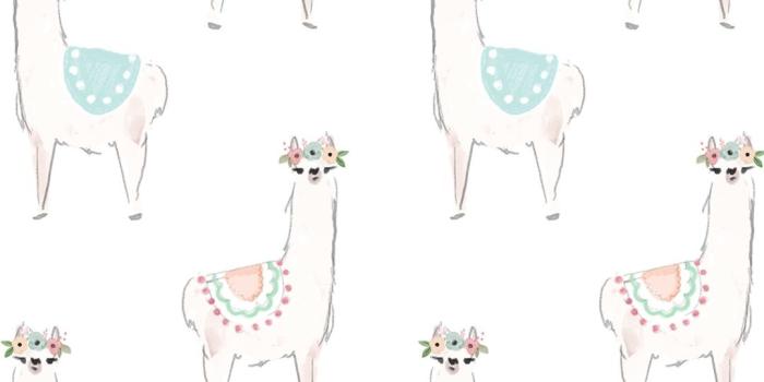 1080x1920 Llama Background (41+ images)