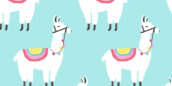 1080x1920 Free download Llama Photo Animal Art Awesome Hd Llama Wallpaper Animals  [1080x1920] for your Desktop, Mobile & Tablet | Explore 26+ Llama Wallpaper  | Llama Backgrounds, Llama Background, Llama Desktop Wallpaper