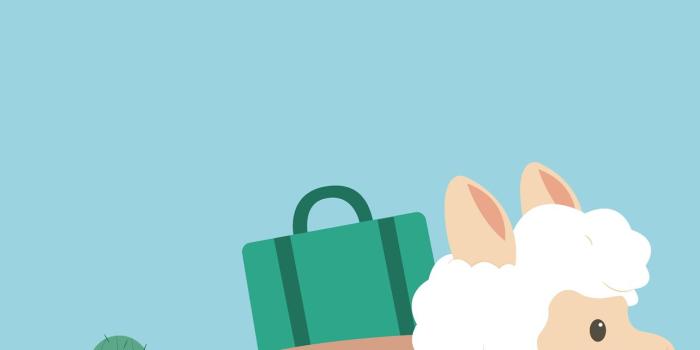 1284x2778 llama iPhone Wallpapers Free Download