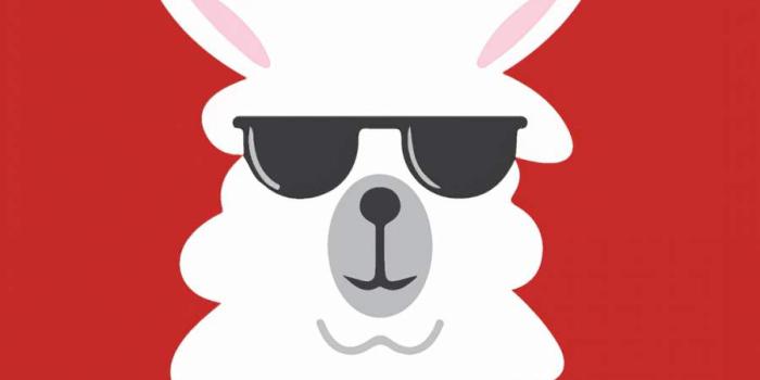 900x1600 Llama Portait IPhone Wallpaper - IPhone Wallpapers : iPhone Wallpapers