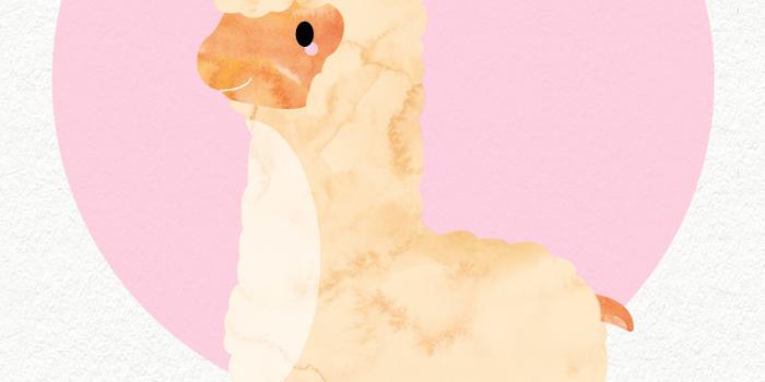 1080x1920 For the Love of Llamas! 10 Cutesy Llama iPhone Wallpapers | The Review Wire