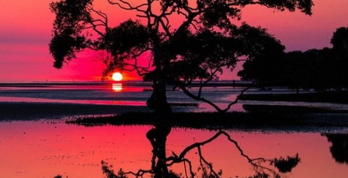 683x1280 Sunset Wallpapers - Top 75 Best Sunset Backgrounds Download