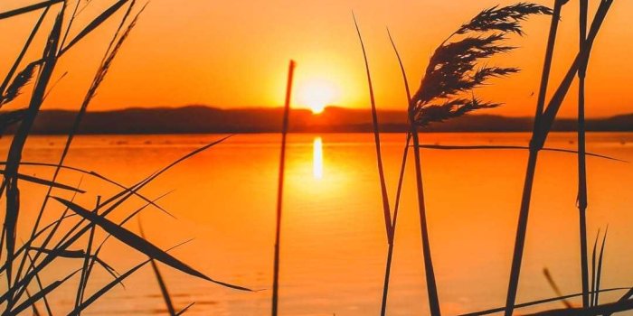 1080x2280 Sunset Wallpaper - iXpap