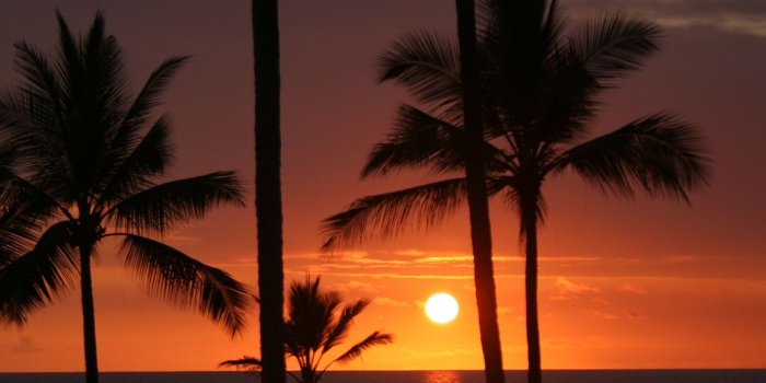 1160x2048 Hawaiian Sunset | Sunset pictures, Sunset wallpaper, Nature photography