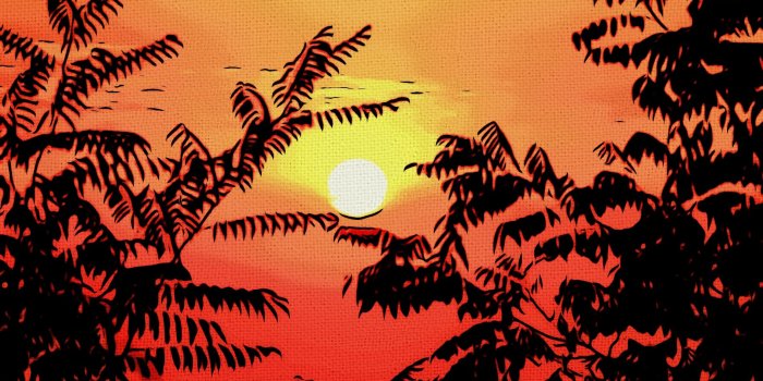 1893x4096 iPhone sunset canvas wallpapers