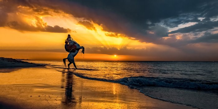 4790x3469 Beach Sunset Photos, Download Free Beach Sunset Stock Photos & HD Images